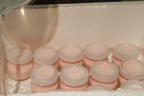 Ủ sữa chua với nước ấm