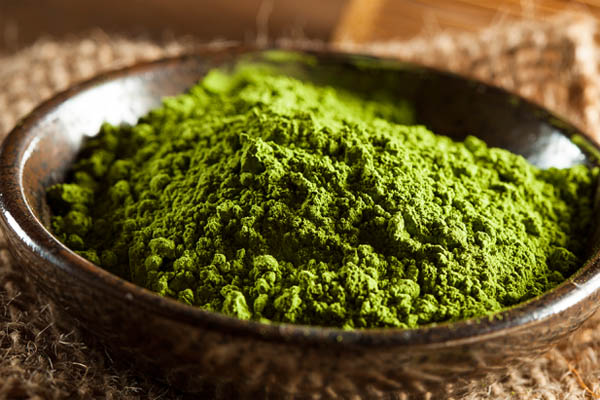 chọn bột matcha chất lượng