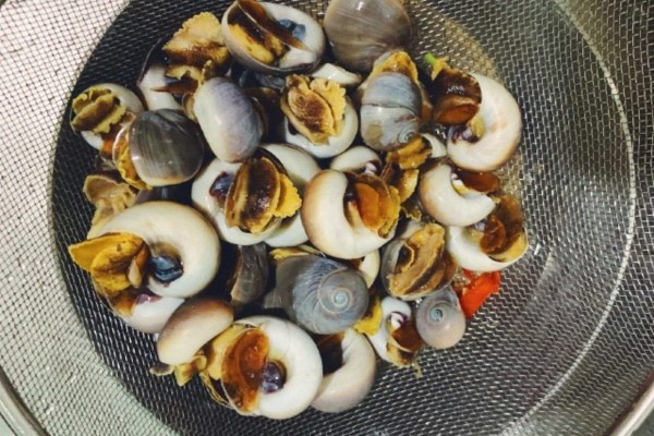 Cách làm ốc mỡ hết nhớt