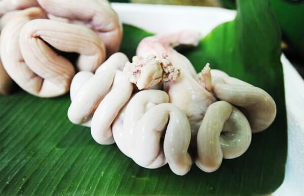 dồi trường 