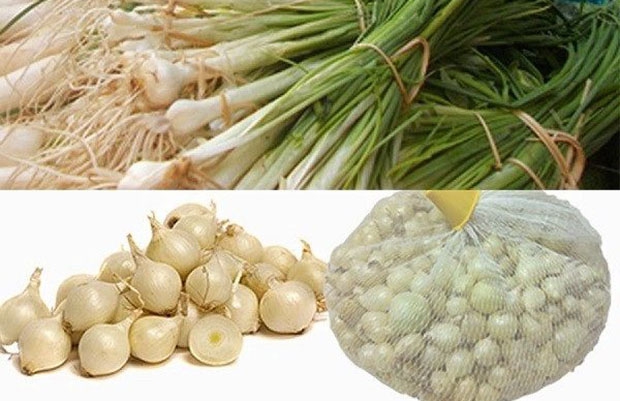 Củ Nén Là Gì Và Tác Dụng Của Nó Ra Sao