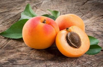 Apricot là gì? Những điều nên biết về Apricot