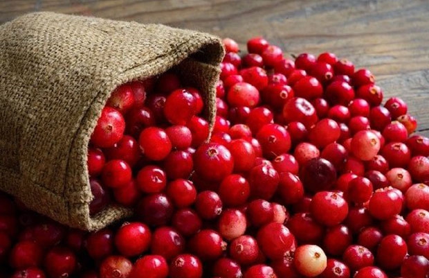 cranberry là gì