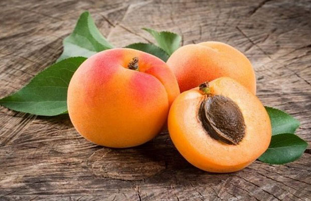 qua Apricot