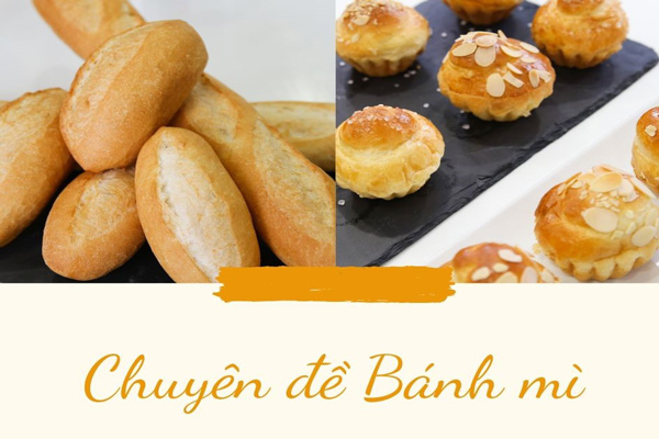 chuyên đề bánh mì