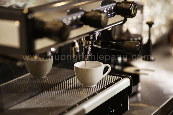 kỹ thuật pha chế cà phê bằng máy
