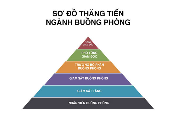 lộ trình thăng tiến buồng phòng