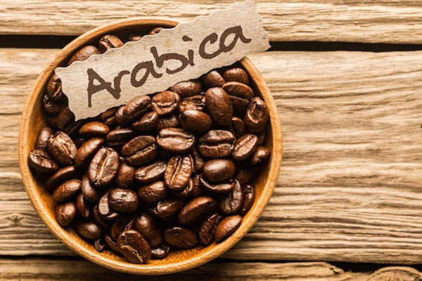 hạt arabica