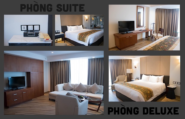 phòng Deluxe và phòng Suite