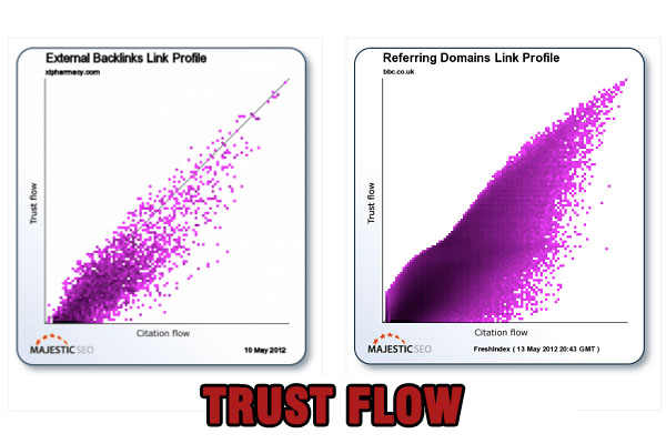 Trust Flow là gì? Những cách thức hiệu quả để nâng cao chỉ số TF