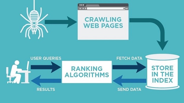 crawling-va-indexing-la-gi