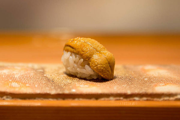 nhím biển làm sushi nigira