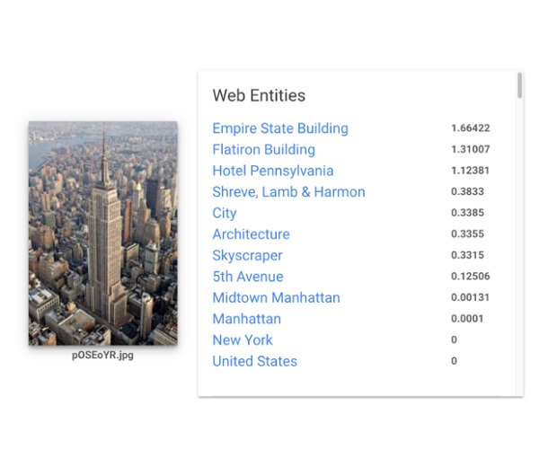 google-vision-api-web-entities