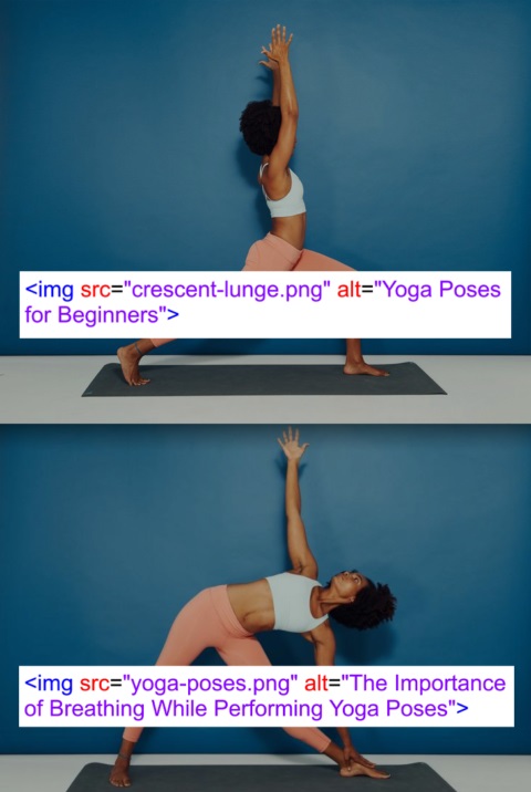 ket-qua-co-chua-yoga-poses-trong-alt-text