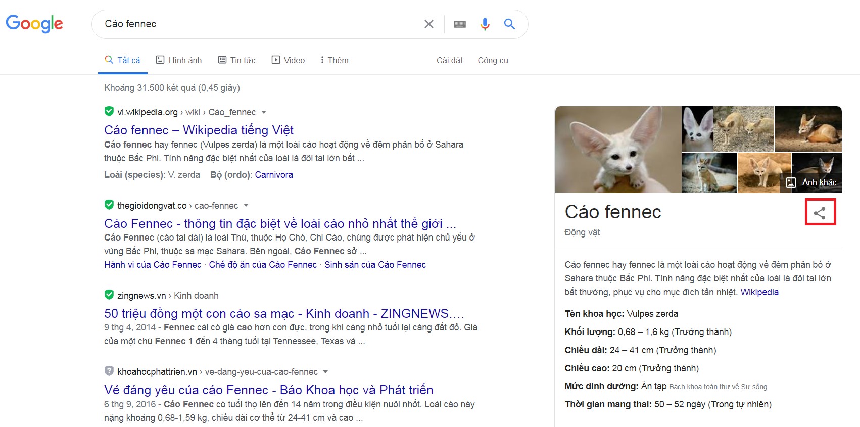 ket-qua-tim-kiem-cao-fennec