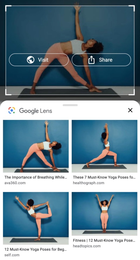 ket-qua-yoga-poses-google-lens