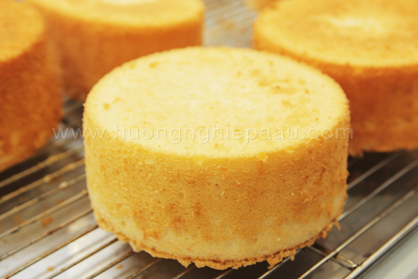Sponge Cake bông xốp