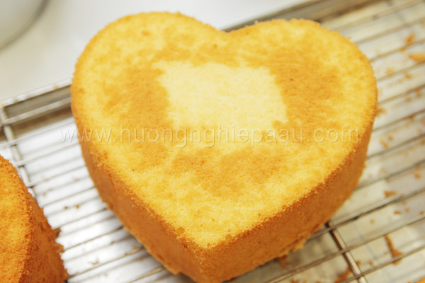 Vanilla Sponge Cake