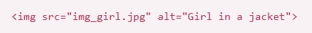 dung-image-tag-cung-voi-alt-attribute