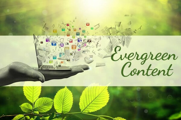 evergreen content là nội dung thường xanh