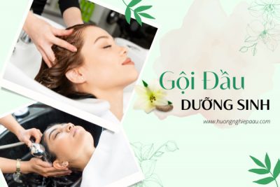 khái niệm gội đầu dưỡng sinh