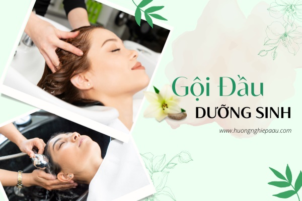 Gội Đầu Dưỡng Sinh Là Gì? Công Dụng Và Các Bước Thực Hiện