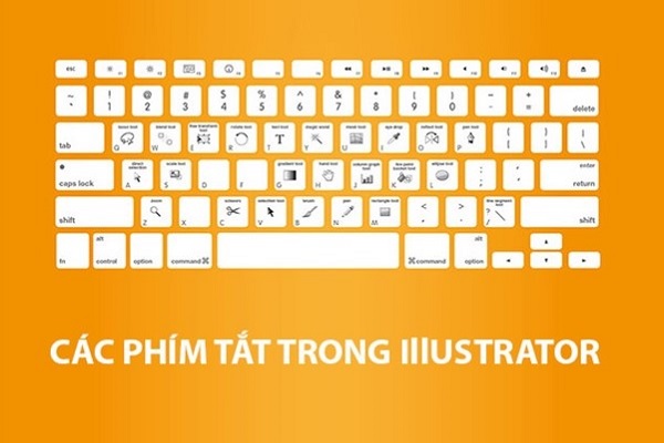 phím tắt Adobe Illustrator