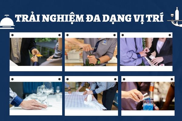 cơ hội việc làm NHKS