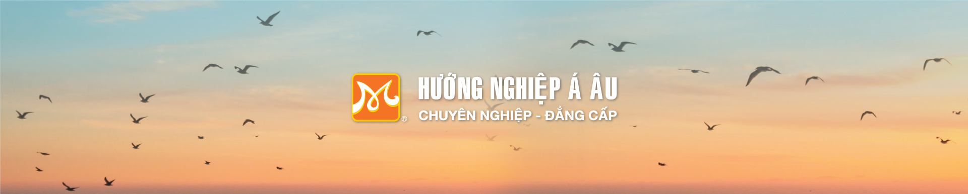 trường dạy nghề hướng nghiệp á âu