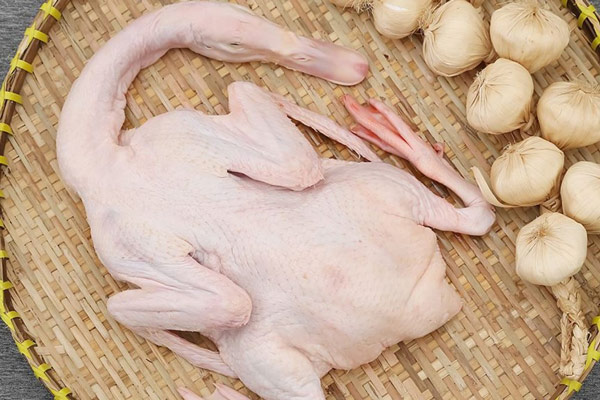 Chọn vịt ngon – yếu tố quyết định chất lượng