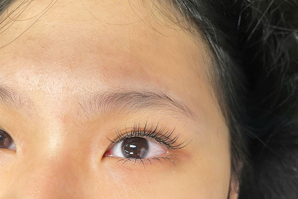 bài thi nối mi