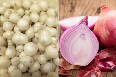 Củ Nén Là Gì? Các Món Ngon Chế Biến Từ Củ Nén