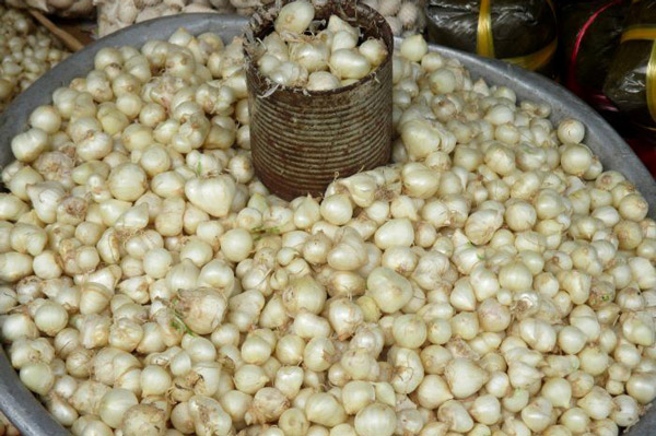 Củ Nén Là Gì?