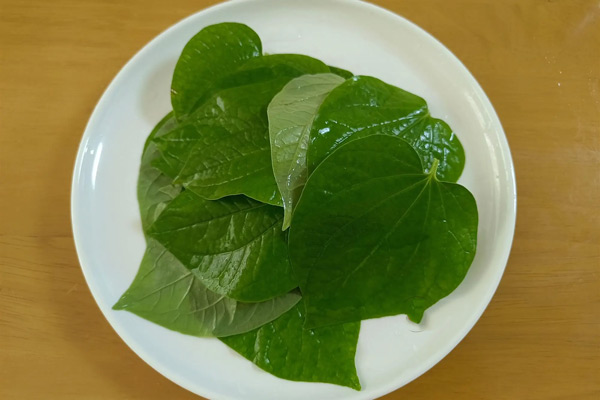 Lá lốt có cần trụng sơ qua trước khi cuốn không?