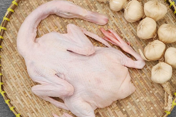 Cách Chọn Mua Vịt Tươi