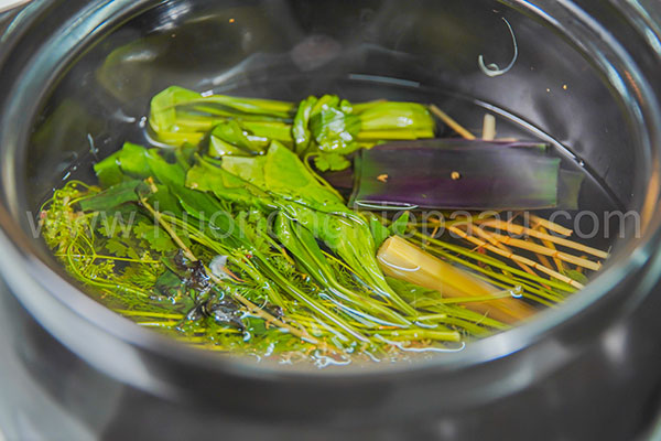 hình ảnh chuyên đề khóa học sâm dinh dưỡng 04