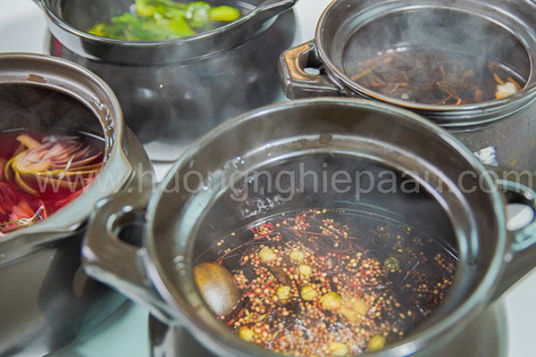 hinh-anh-khoa-hoc-sam-dinh-duong-05 hình ảnh chuyên đề khóa học sâm dinh dưỡng 05