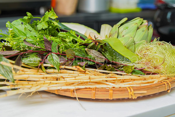 hình ảnh chuyên đề khóa học sâm dinh dưỡng 06