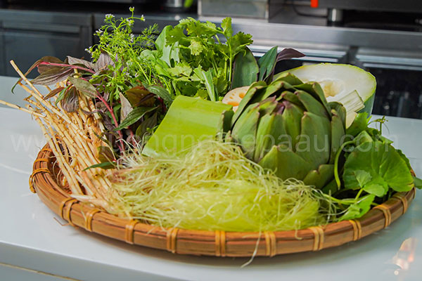 hình ảnh chuyên đề khóa học sâm dinh dưỡng 08