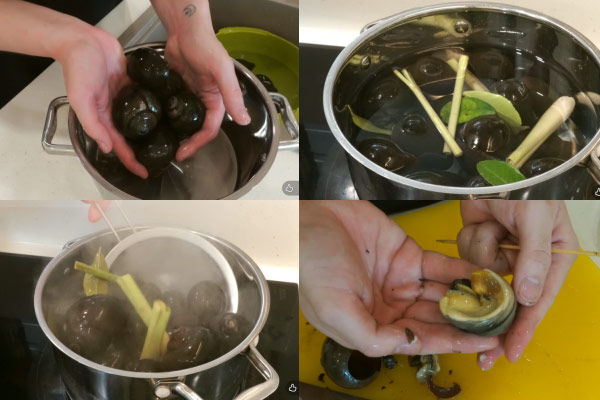 ngâm ốc trong nước vo gạo