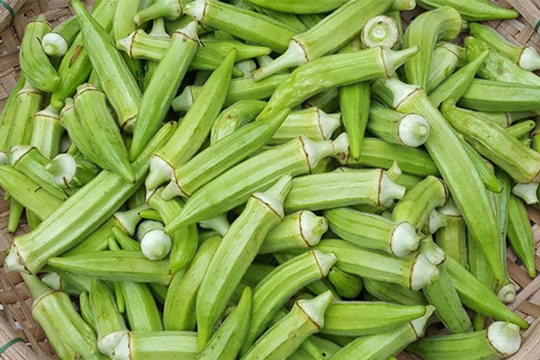 Bí Quyết Chọn Đậu Bắp Tươi