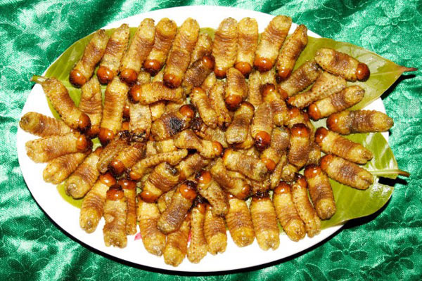 Đuông dừa là món ăn độc đáo