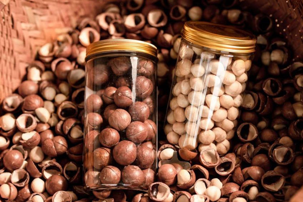 Cách Bảo Quản Hạt Macca Đúng Cách