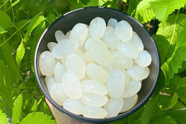 Hạt đác giúp tăng cường sức đề kháng