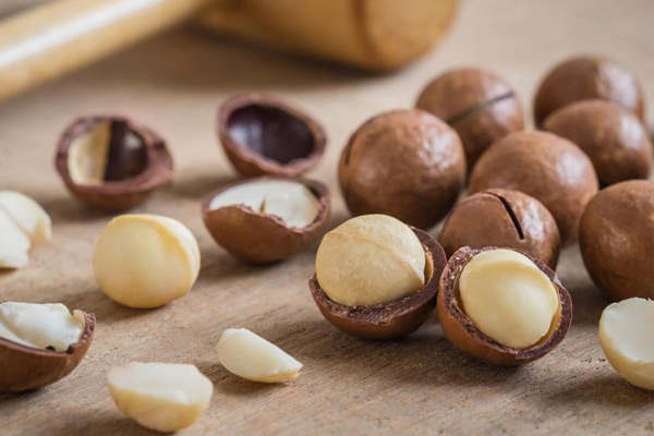 Hạt macca chứa nhiều chất dinh dưỡng