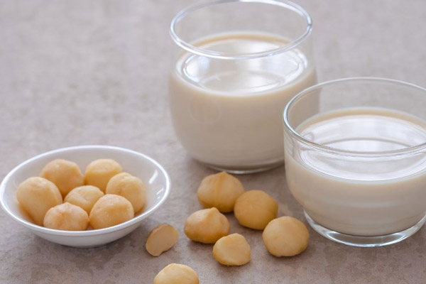 Hạt Macca Có Thể Dùng Làm Sữa Hạt Không
