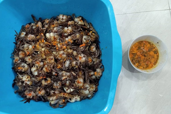 Cách Sơ Chế Rạm Không Bị Tanh?