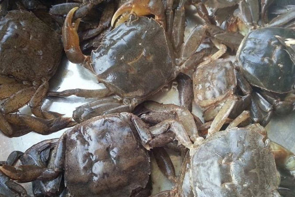 Giá Trị Dinh Dưỡng Của Rạm