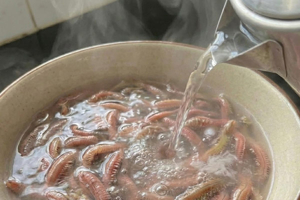 Cách Sơ Chế Rươi Đúng Cách