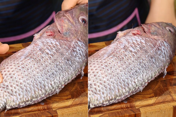 Cách Chọn Cá Rô Phi Tươi